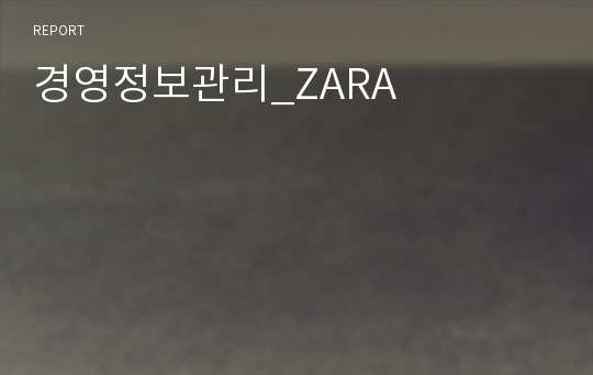 경영정보관리_ZARA