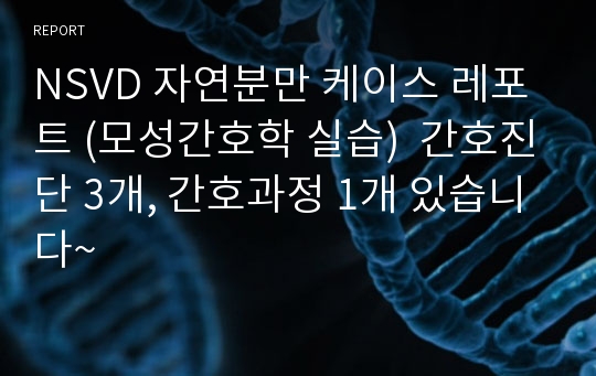 NSVD 자연분만 케이스 레포트 (모성간호학 실습)  간호진단 3개, 간호과정 1개 있습니다~