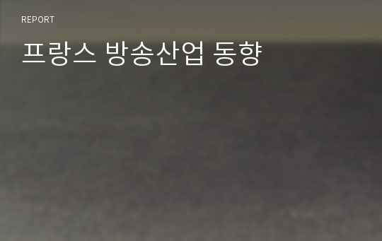 프랑스 방송산업 동향