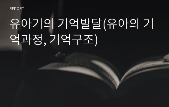 유아기의 기억발달(유아의 기억과정, 기억구조)