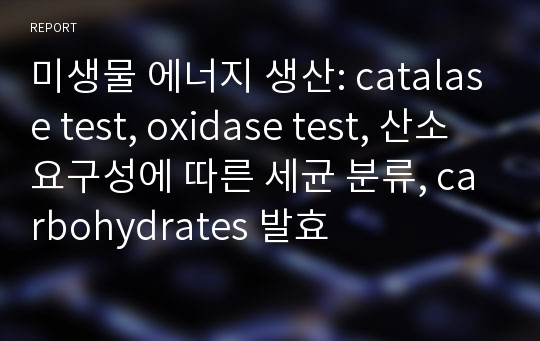 미생물 에너지 생산: catalase test, oxidase test, 산소 요구성에 따른 세균 분류, carbohydrates 발효