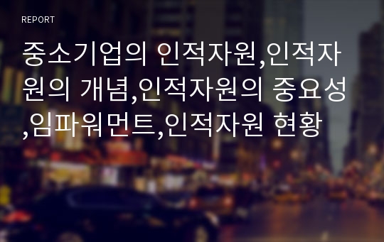 중소기업의 인적자원,인적자원의 개념,인적자원의 중요성,임파워먼트,인적자원 현황