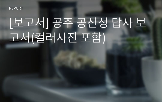 [보고서] 공주 공산성 답사 보고서(컬러사진 포함)