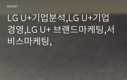 LG U+기업분석,LG U+기업경영,LG U+ 브랜드마케팅,서비스마케팅,