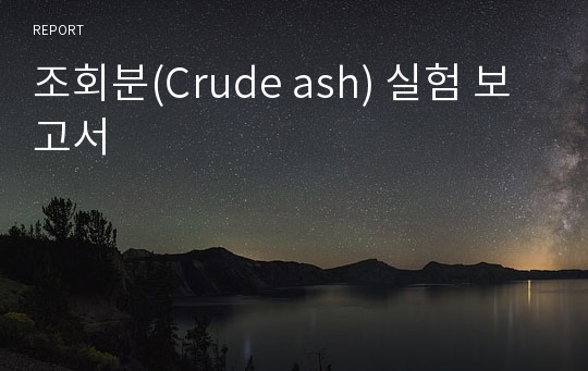 조회분(Crude ash) 실험 보고서