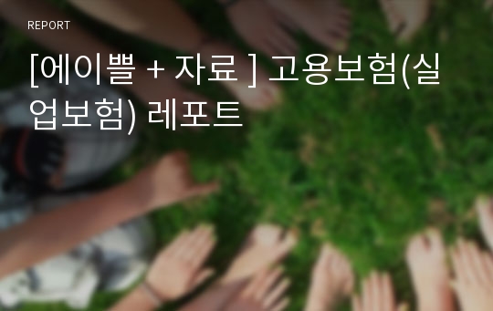 [에이쁠 + 자료 ] 고용보험(실업보험) 레포트