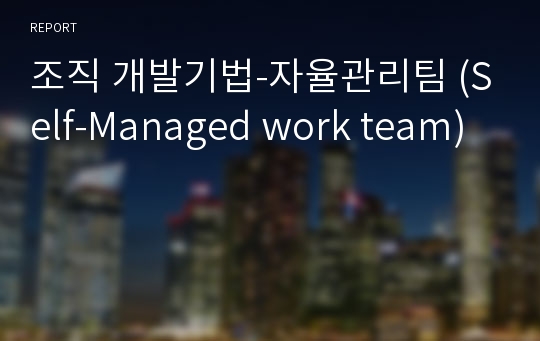 조직 개발기법-자율관리팀 (Self-Managed work team)