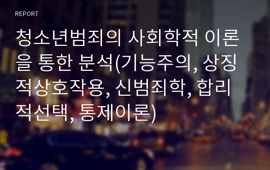 청소년범죄의 사회학적 이론을 통한 분석(기능주의, 상징적상호작용, 신범죄학, 합리적선택, 통제이론)