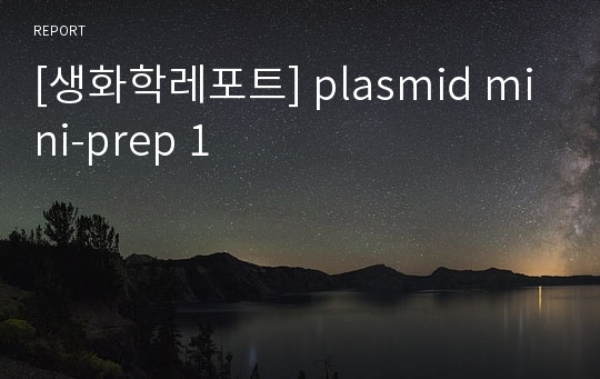[생화학레포트] plasmid mini-prep 1