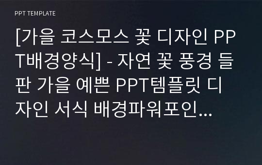 [가을 코스모스 꽃 디자인 PPT배경양식] - 자연 꽃 풍경 들판 가을 예쁜 PPT템플릿 디자인 서식 배경파워포인트 테마양식 PowerPoint PPT테마 프레젠테이션