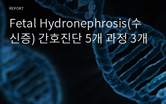 Fetal Hydronephrosis(수신증) 간호진단 5개 과정 3개