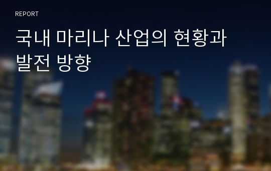 국내 마리나 산업의 현황과 발전 방향