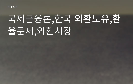 국제금융론,한국 외환보유,환율문제,외환시장