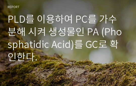 PLD를 이용하여 PC를 가수분해 시켜 생성물인 PA (Phosphatidic Acid)를 GC로 확인한다.