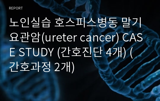 노인실습 호스피스병동 말기 요관암(ureter cancer) CASE STUDY (간호진단 4개) (간호과정 2개)