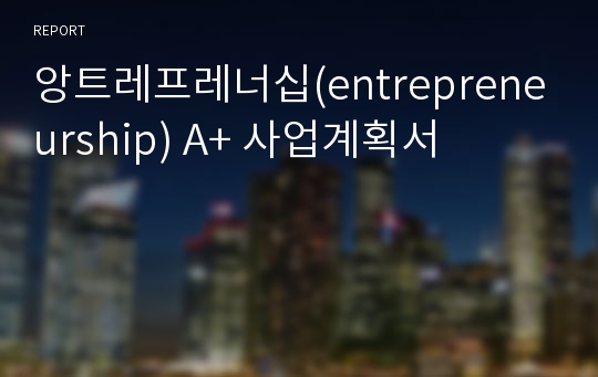 앙트레프레너십(entrepreneurship) A+ 사업계획서