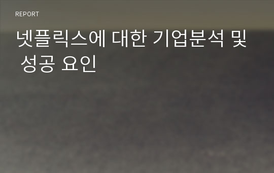 넷플릭스에 대한 기업분석 및 성공 요인