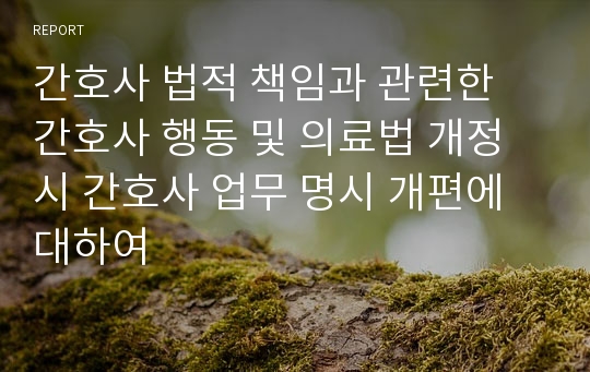 간호사 법적 책임과 관련한 간호사 행동 및 의료법 개정 시 간호사 업무 명시 개편에 대하여