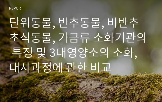 단위동물, 반추동물, 비반추초식동물, 가금류 소화기관의 특징 및 3대영양소의 소화,대사과정에 관한 비교