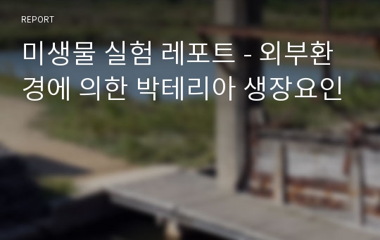 미생물 실험 레포트 - 외부환경에 의한 박테리아 생장요인