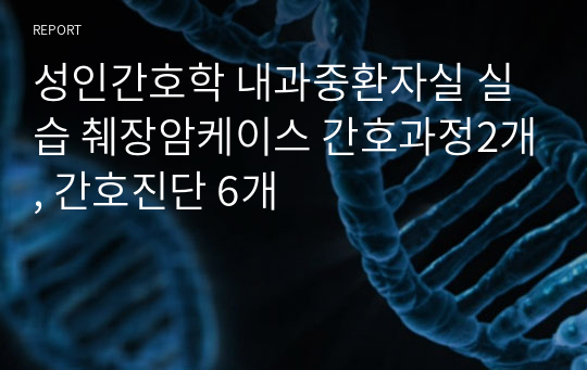 성인간호학 내과중환자실 실습 췌장암케이스 간호과정2개, 간호진단 6개