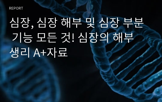 심장, 심장 해부 및 심장 부분 기능 모든 것! 심장의 해부 생리 A+자료