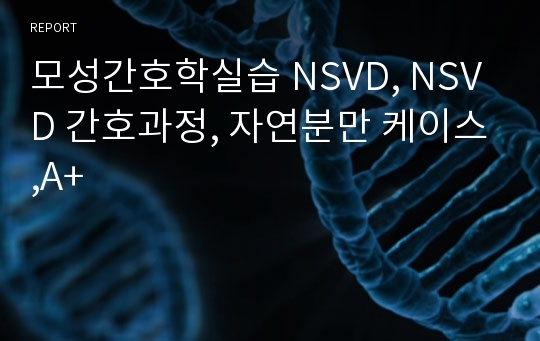 모성간호학실습 NSVD, NSVD 간호과정, 자연분만 케이스,A+