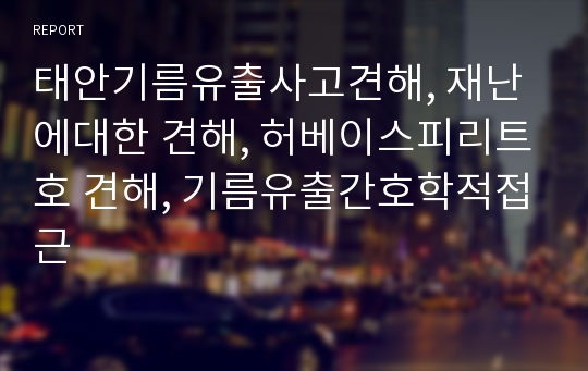 태안기름유출사고견해, 재난에대한 견해, 허베이스피리트호 견해, 기름유출간호학적접근