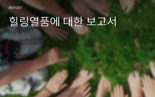 힐링열품에 대한 보고서