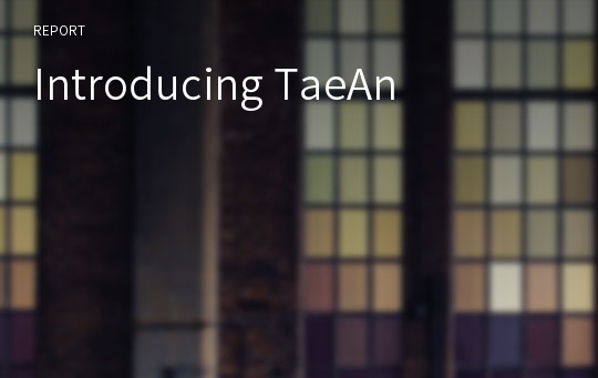 Introducing TaeAn