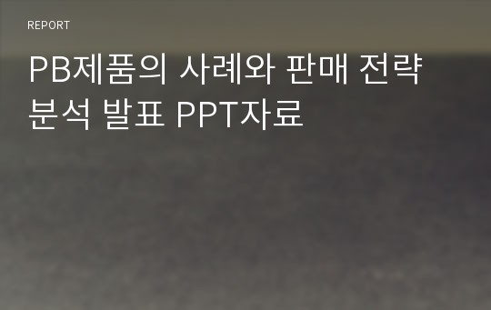 PB제품의 사례와 판매 전략 분석 발표 PPT자료