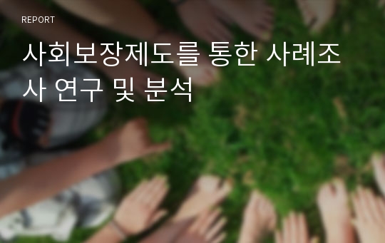 사회보장제도를 통한 사례조사 연구 및 분석