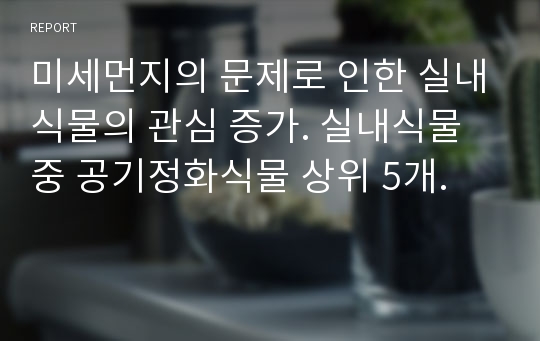 미세먼지의 문제로 인한 실내식물의 관심 증가. 실내식물 중 공기정화식물 상위 5개.