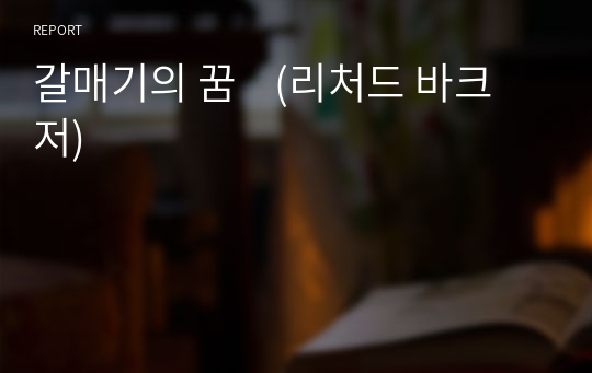 갈매기의 꿈    (리처드 바크 저)