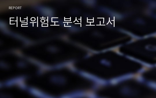 터널위험도 분석 보고서