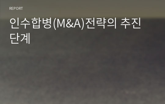 인수합병(M&amp;A)전략의 추진 단계