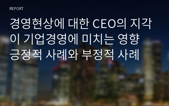 경영현상에 대한 CEO의 지각이 기업경영에 미치는 영향 긍정적 사례와 부정적 사례