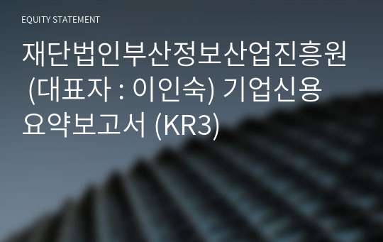 재단법인부산정보산업진흥원 기업신용요약보고서 (KR3)