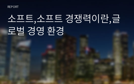 소프트,소프트 경쟁력이란,글로벌 경영 환경