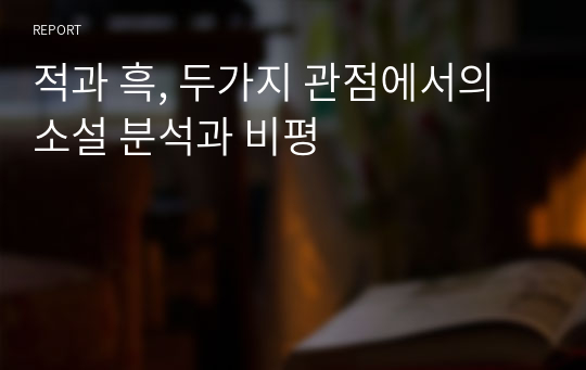 적과 흑, 두가지 관점에서의 소설 분석과 비평