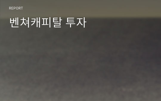 벤쳐캐피탈 투자