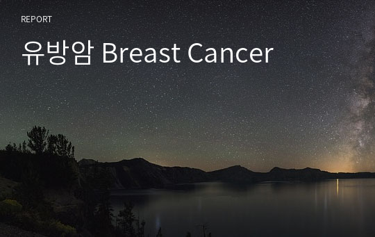 [A+받음] 유방암 Breast Cancer