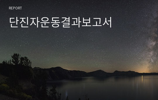 단진자운동결과보고서