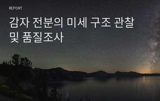 감자 전분의 미세 구조 관찰 및 품질조사