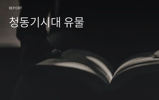 청동기시대 유물