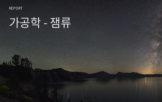 가공학 - 잼류