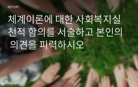 체계이론에 대한 사회복지실천적 함의를 서술하고 본인의 의견을 피력하시오