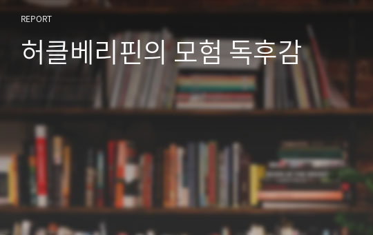 허클베리핀의 모험 독후감