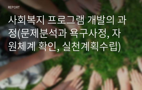 사회복지 프로그램 개발의 과정(문제분석과 욕구사정, 자원체계 확인, 실천계획수립)