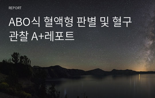 ABO식 혈액형 판별 및 혈구 관찰 A+레포트